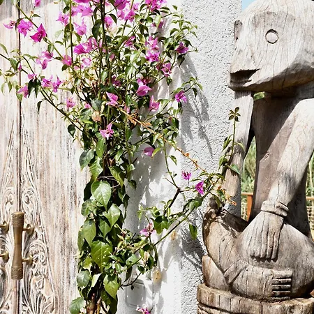 Maison Bao Bed & Breakfast La Londe-les-Maures